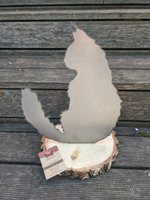 Maincoon auf Holz